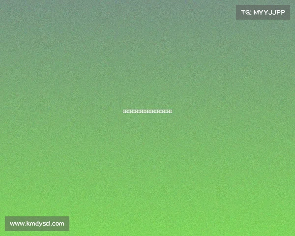 王霜法甲征程辉煌回顾中国女足海外荣耀时刻