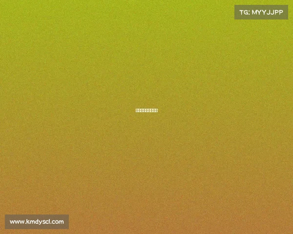 原型车赛事原型大赛